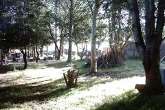 Play Area - 100 Acre Wood